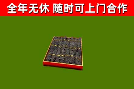 青岛市回收海参